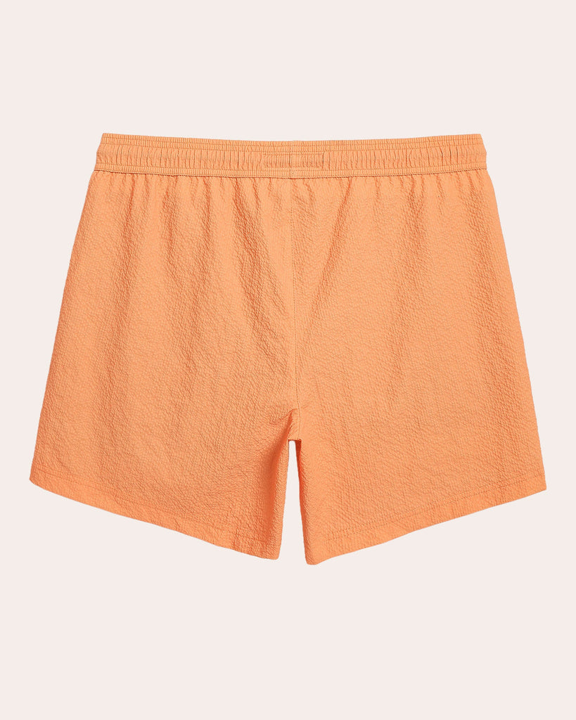 Bivert Liner Solid Swim Shorts